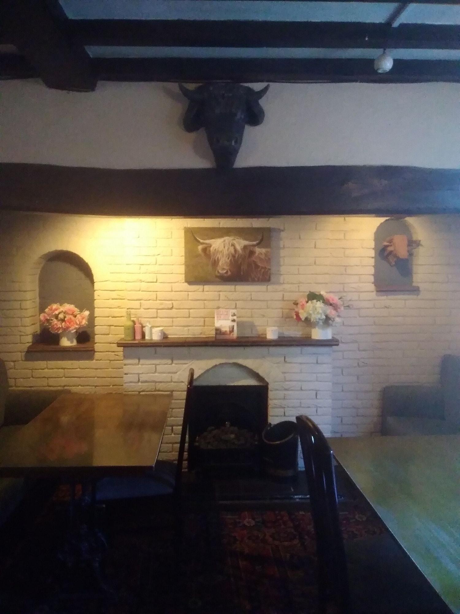 Vista Lobby Bulls Head