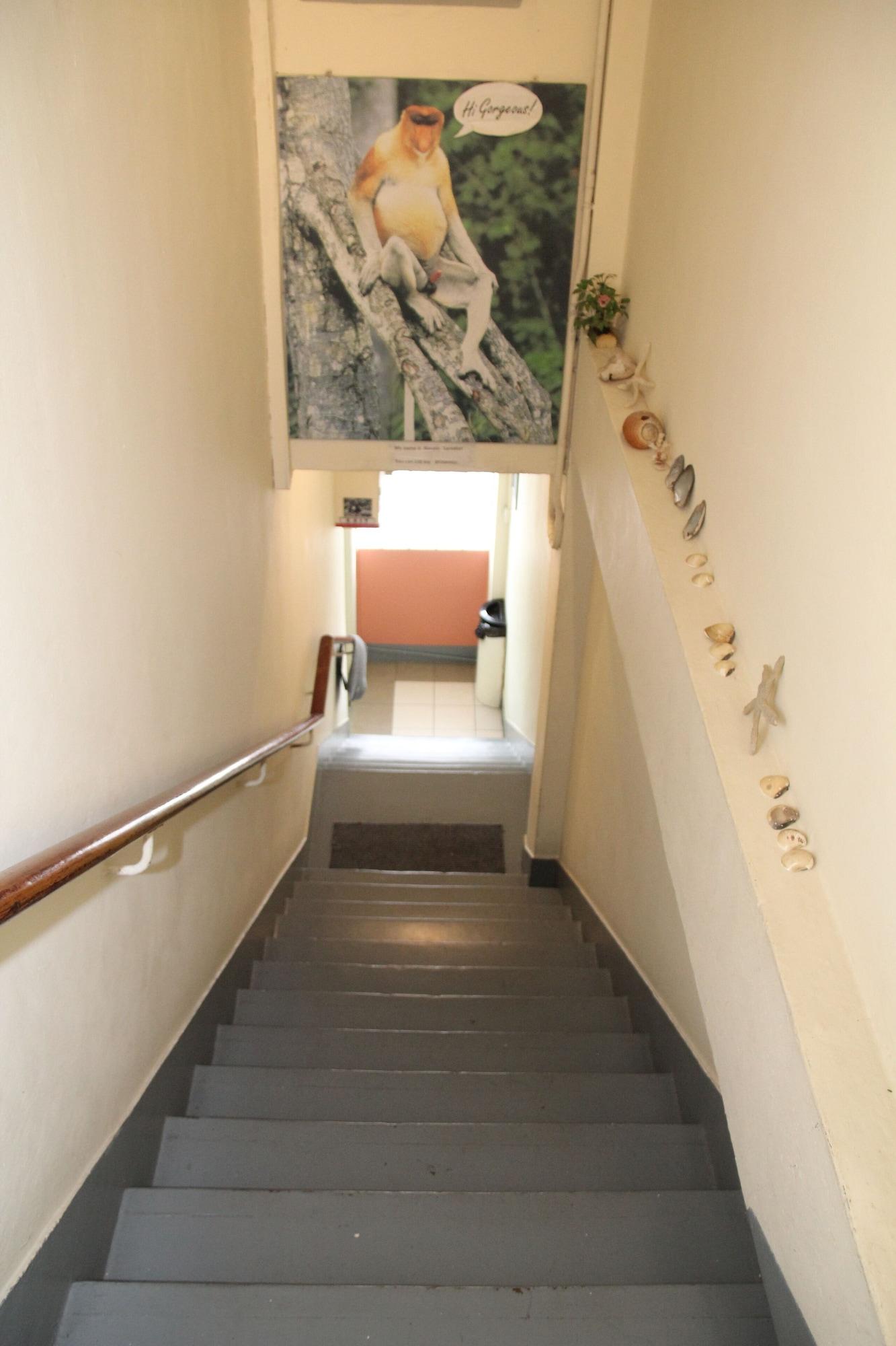 Varios Lavender Lodge