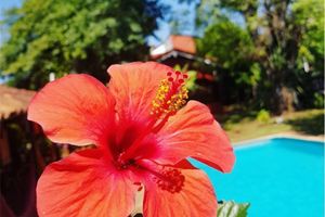 Alojamiento - Iguazu Falls Hostel