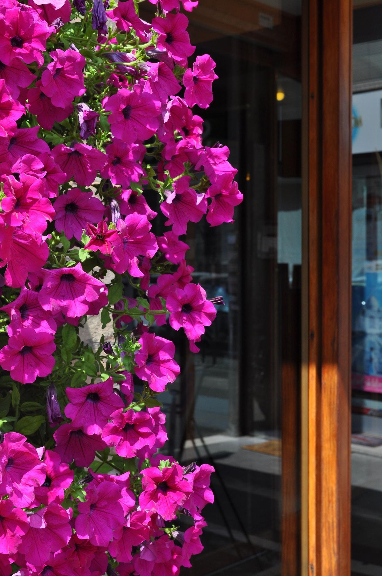 Vista Exterior Hotel Igea