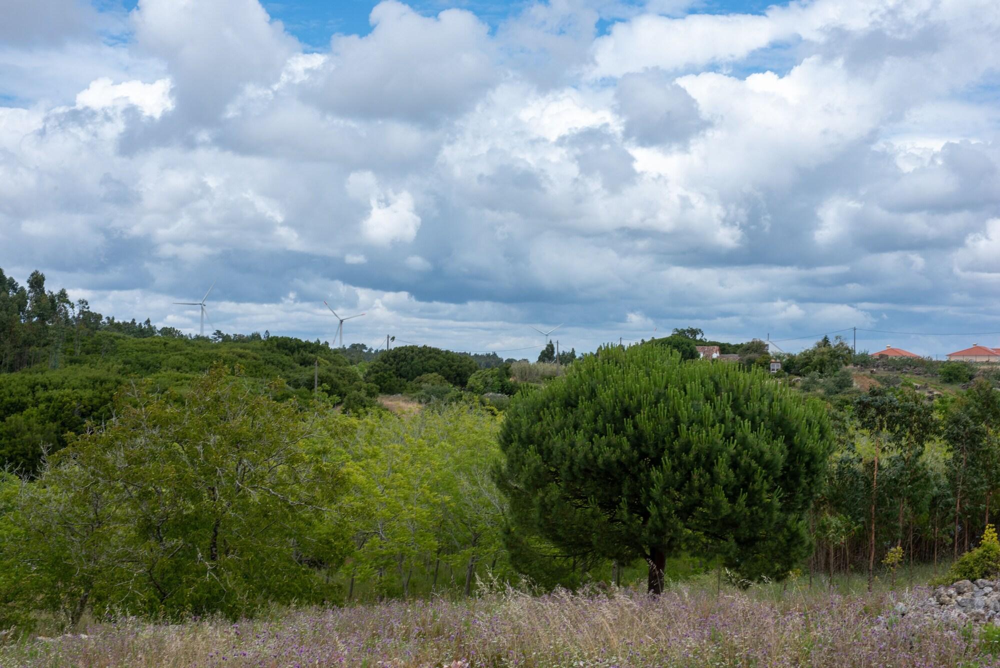 Varios Country Village Senses