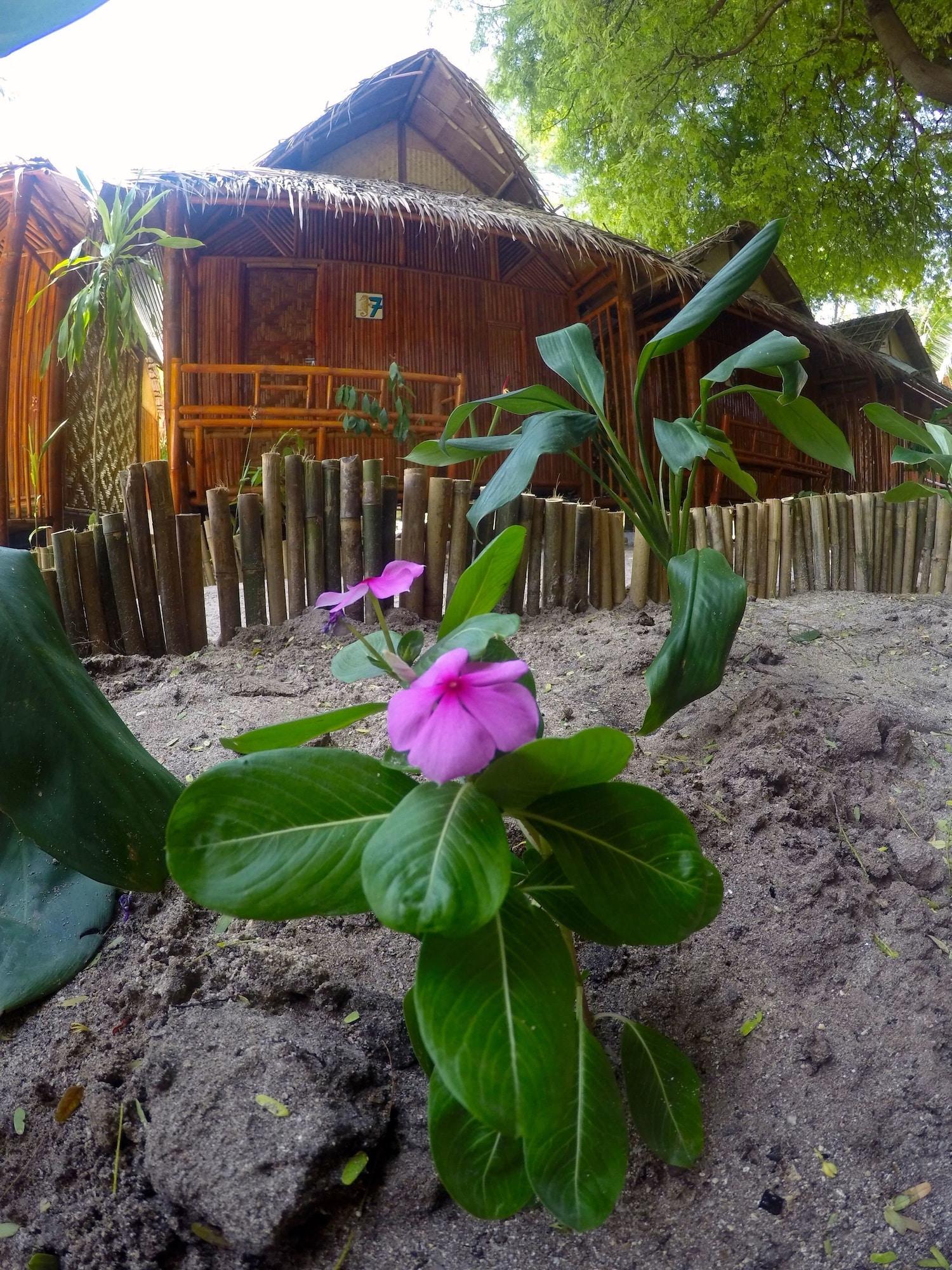 Vista Exterior Adang Sea Divers & Eco Lodge Koh Lipe