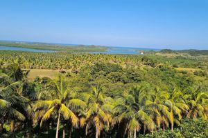 Alojamiento - Hotel Praia dos Carneiros