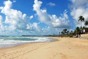 Pacote - Pacotes para Porto de Galinhas