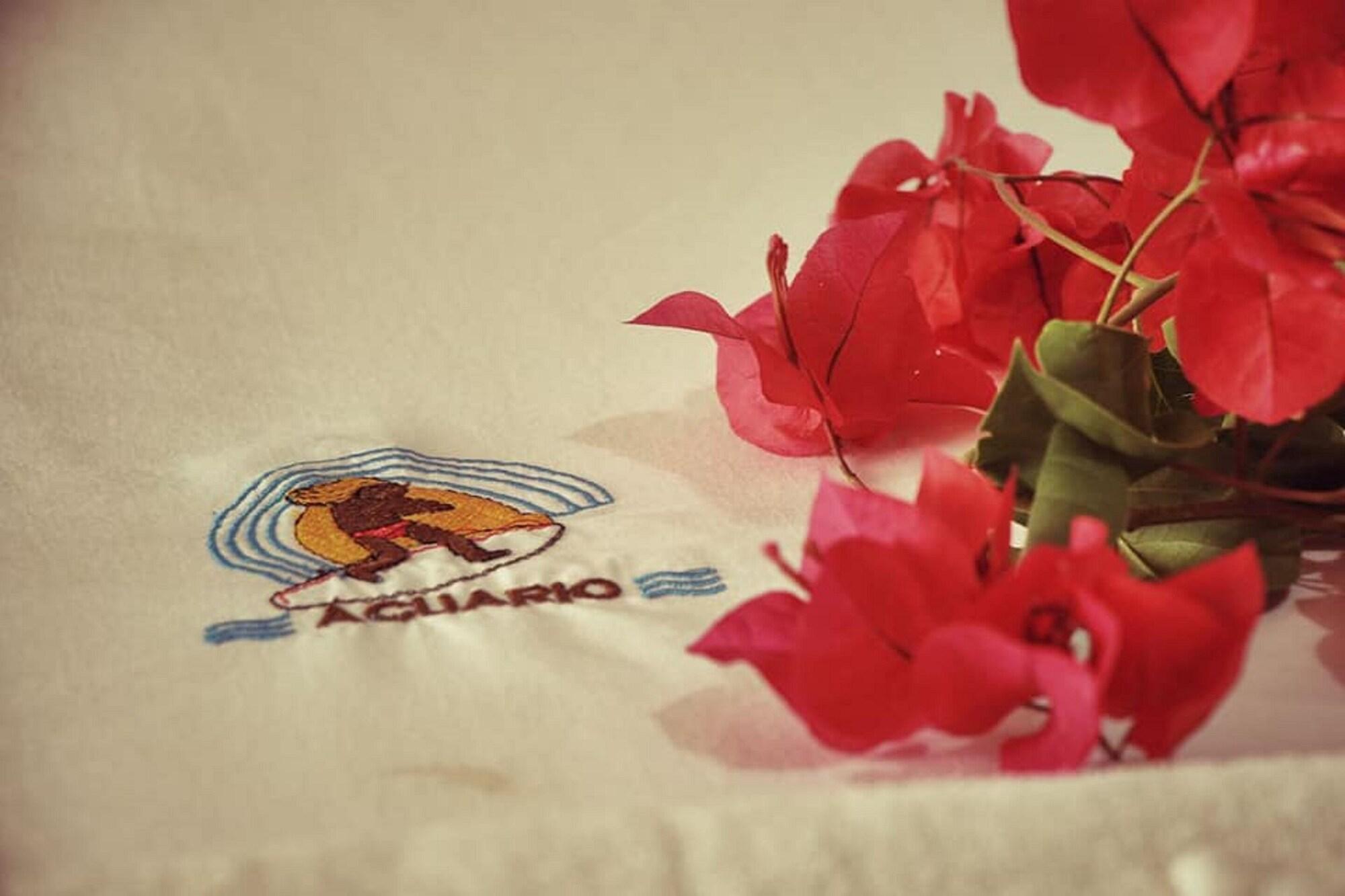 Spa Hotel y Bungalows Acuario