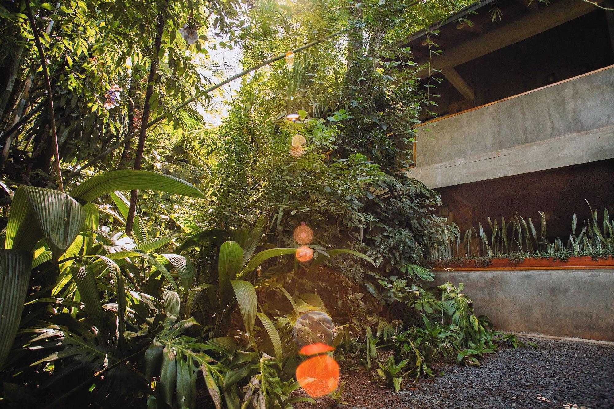 Vista Exterior Miraselva lodge