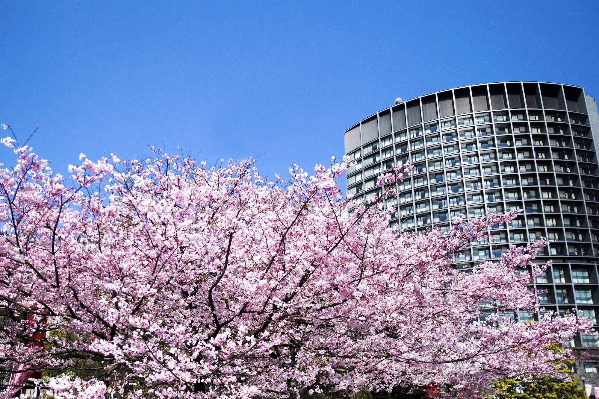 Varios Hotel Grand Arc Hanzomon