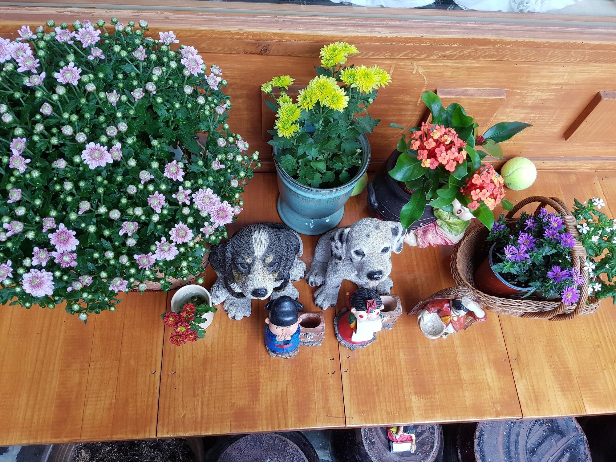 Vista Exterior Dajayon Hanok Stay