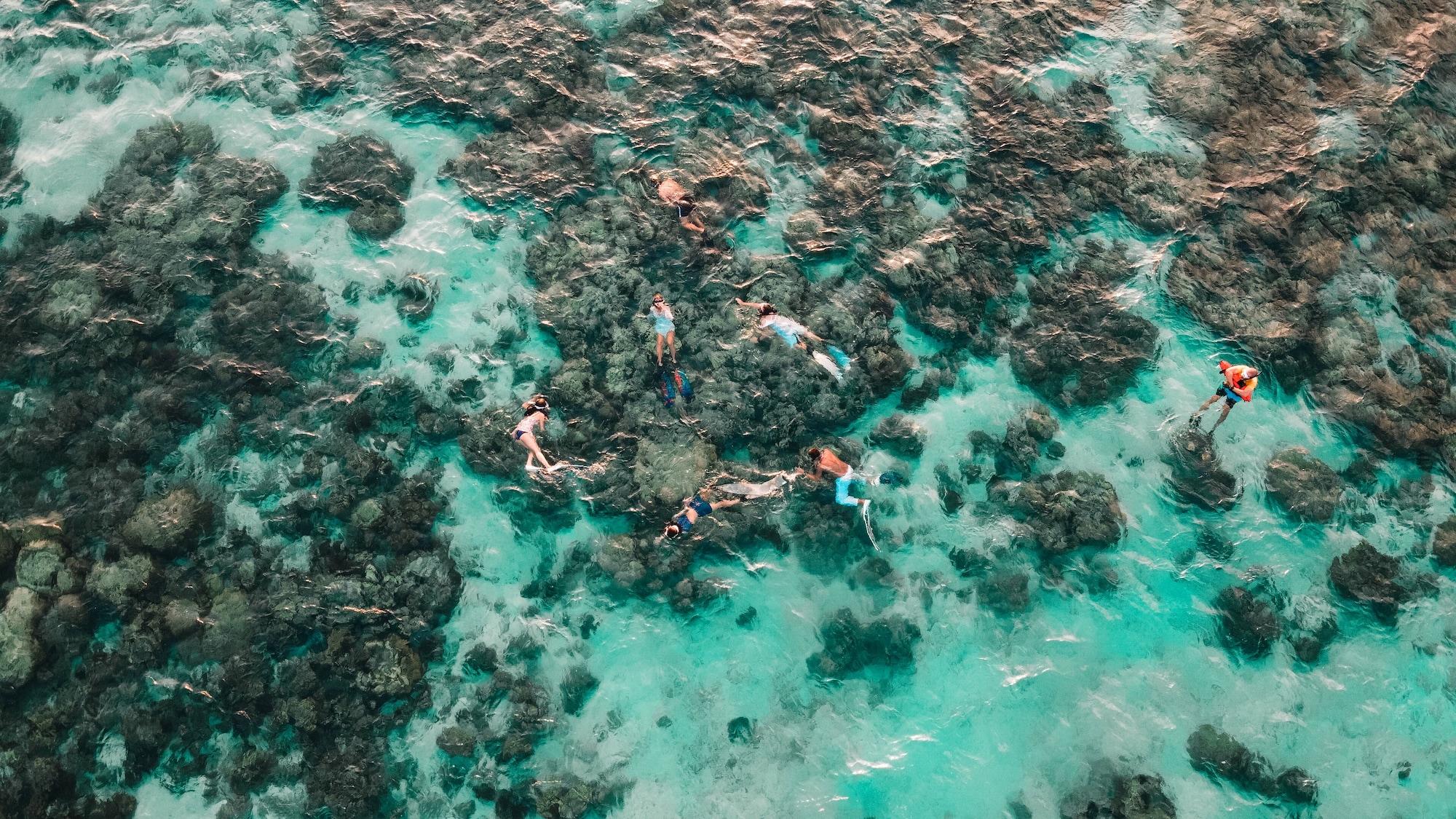 Playa The Cliff Lipe