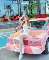 Alojamiento - Flamingo Hai Tien