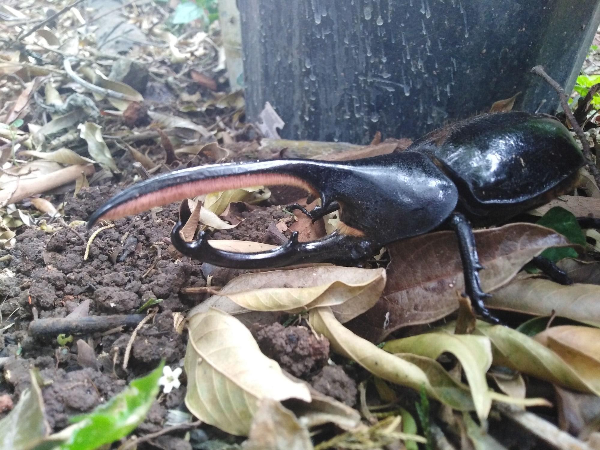 Instalaciones Recreativas Cassidini House