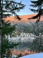 Alquiler Vacacional - West Coast Designer Home - Ocean & Forest Views & Access