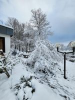 Alojamiento - TaunusTagungsHotel