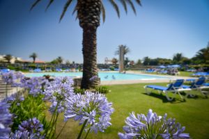 Alojamiento - Hotel Solverde Spa & Wellness Center