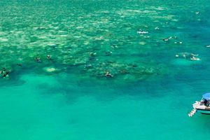 Actividad - Excursión a las islas Whitsundays en barco