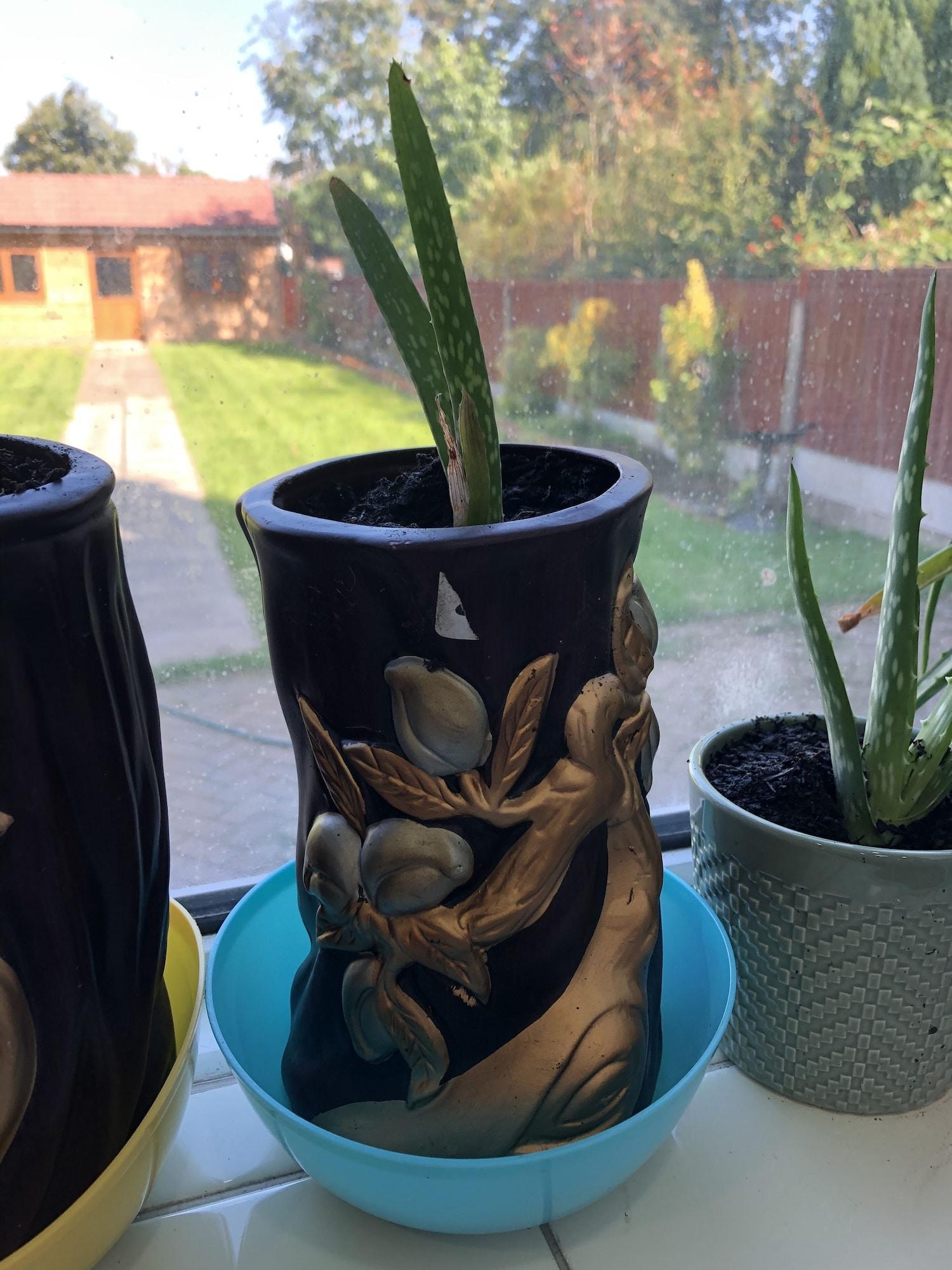 Instalaciones Recreativas Lyndon B&B