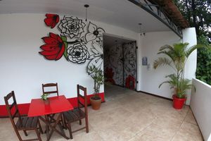Alojamiento - Che Lagarto Paraty