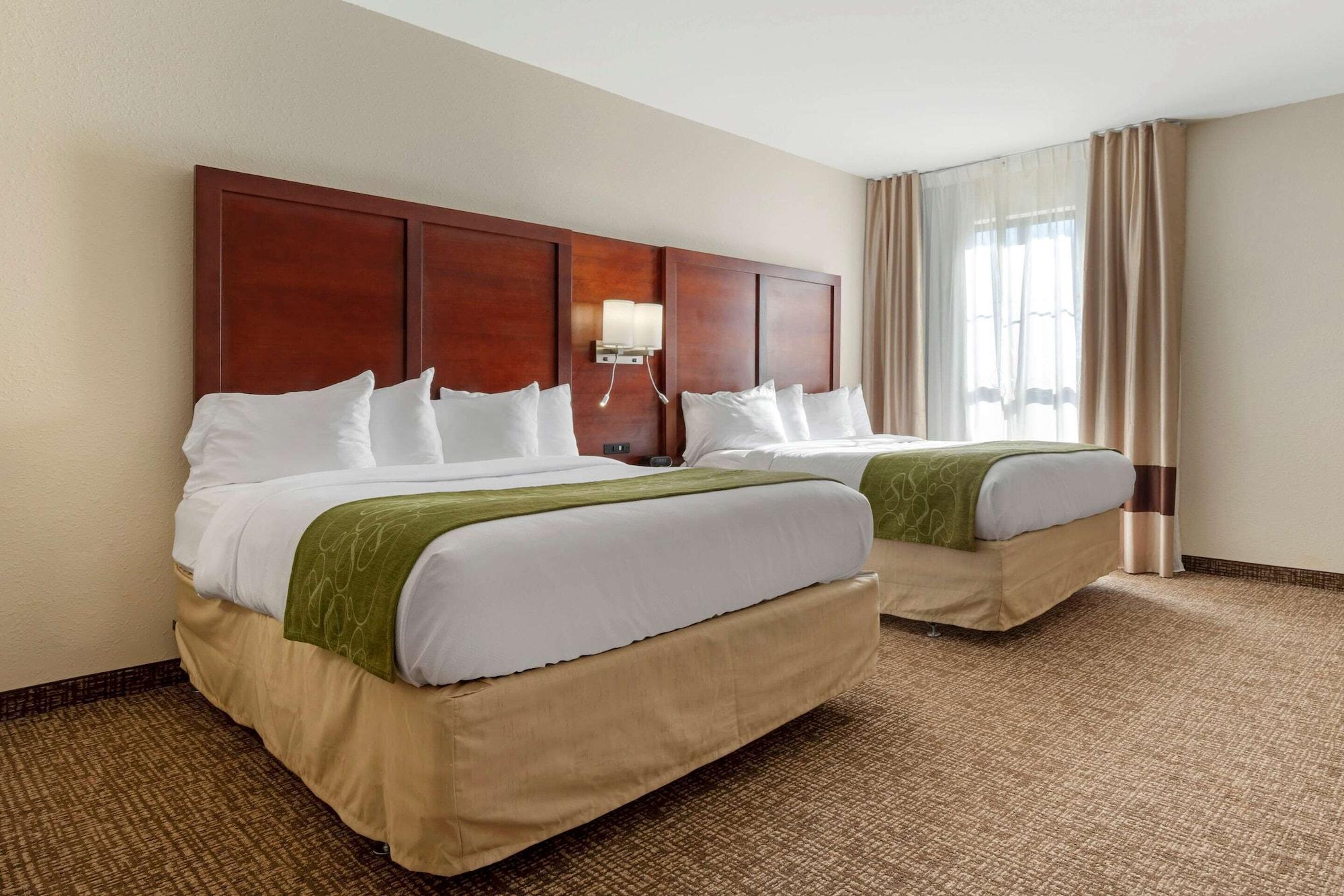 Habitación Comfort Suites Piedmont - Greenville South