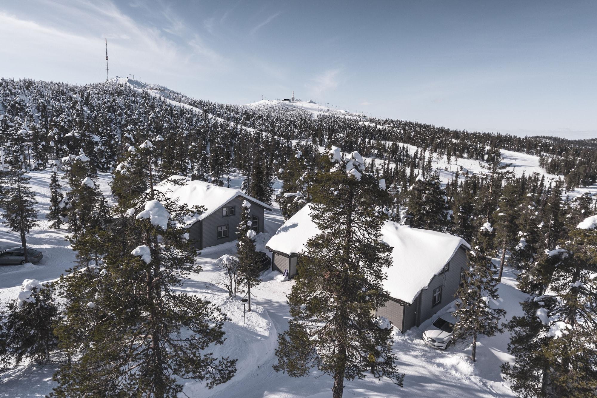 Varios Ski-Inn MastonAitio