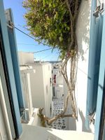 Alojamiento - Hotel Lefteris