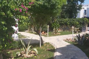 Alojamiento - Canna Garden Hotel - Adults Only