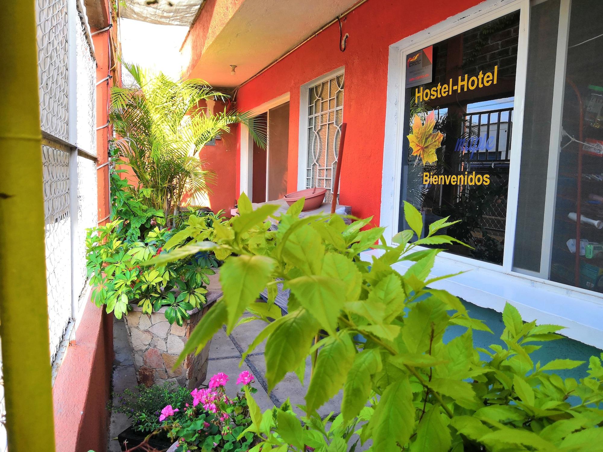 Varios Hostal Maple