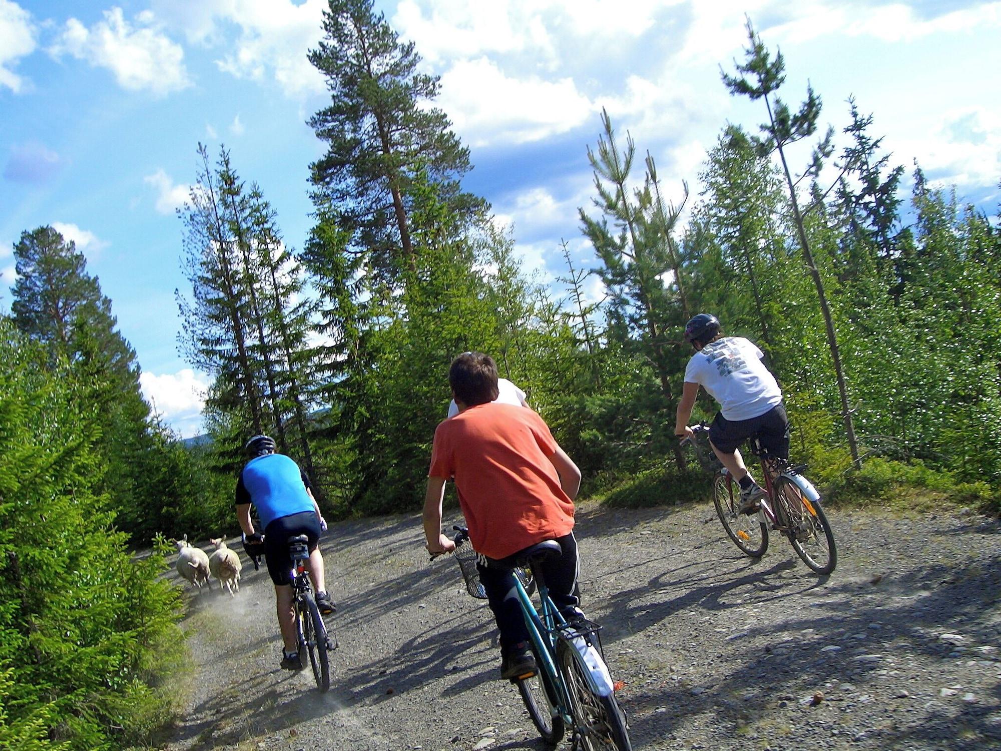 Varios Mesnabakken pensjonat