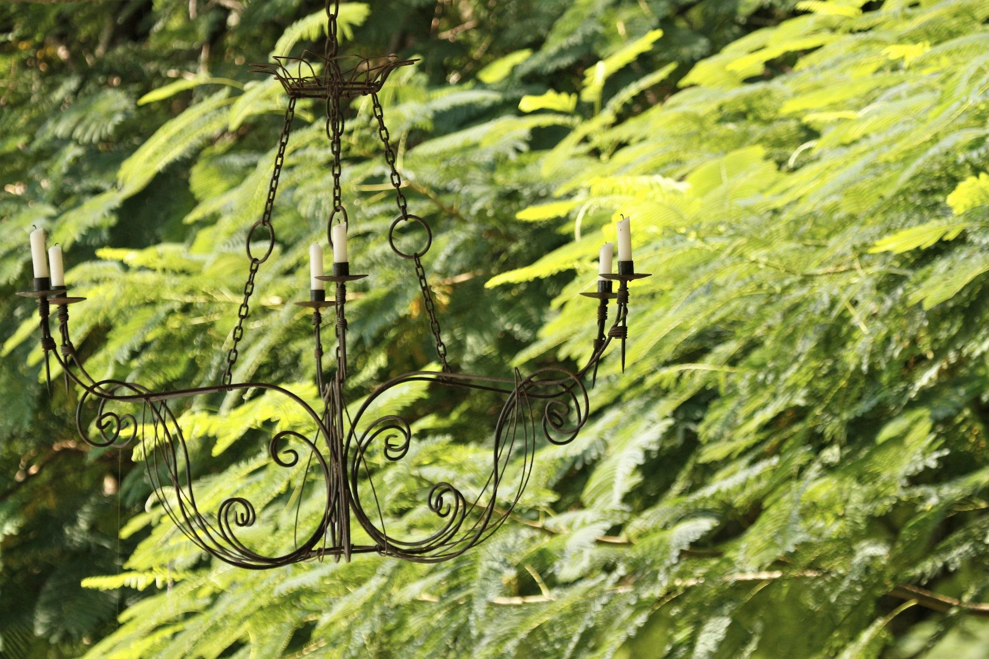 Vista Exterior Torburnlea Homestead Luxury Accommodation