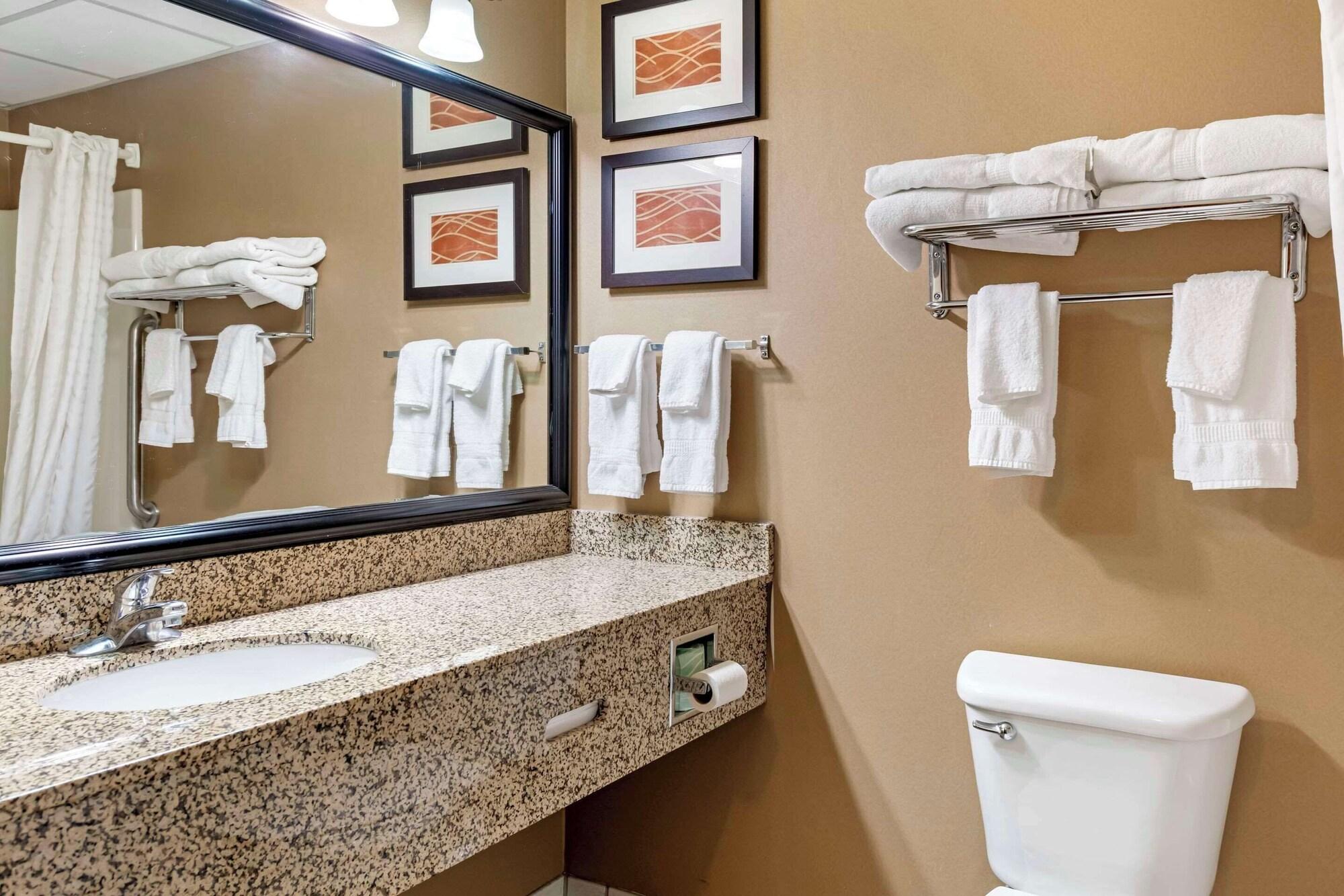 Habitación Comfort Inn Albert Lea