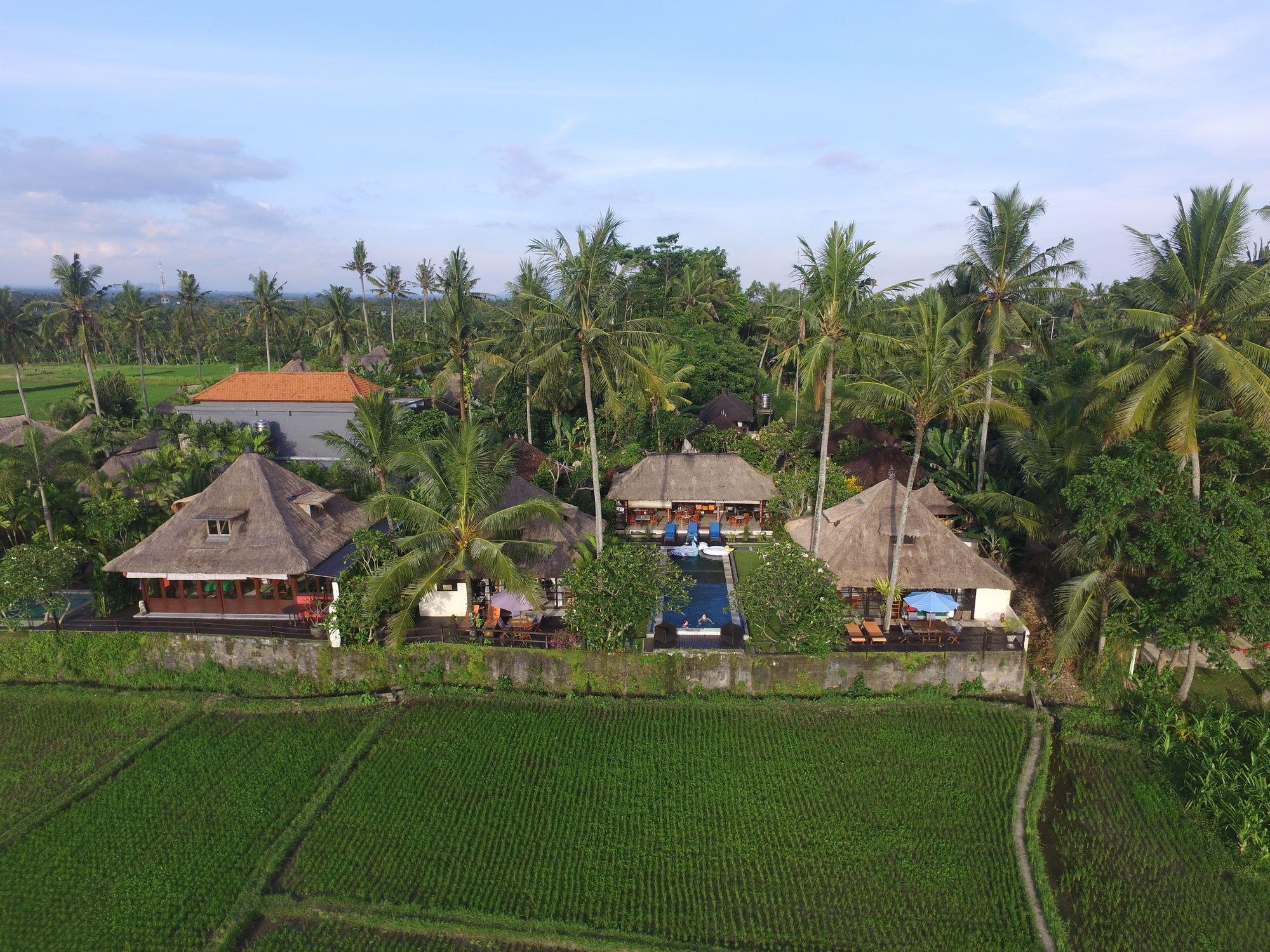 Vista Exterior Lodtunduh Sari