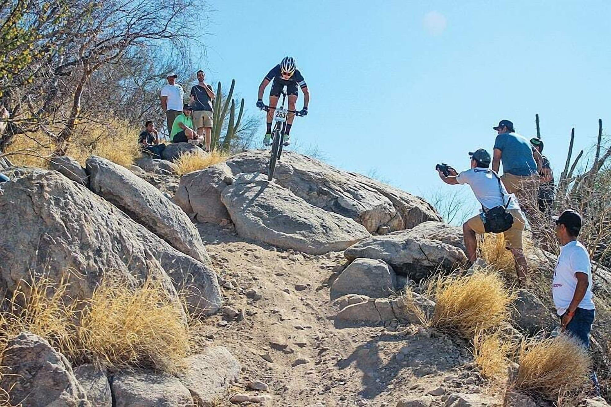 Varios ibis Hermosillo