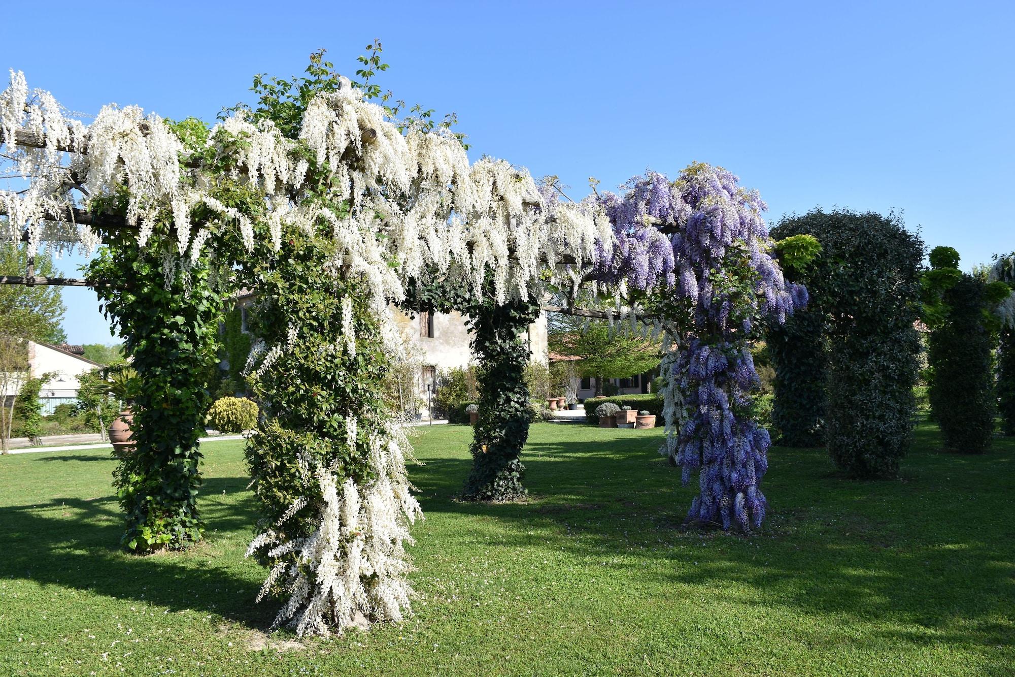 Vista Exterior Venicegreen Agriresort