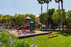Alojamiento - Clementine Hotel & Suites Anaheim