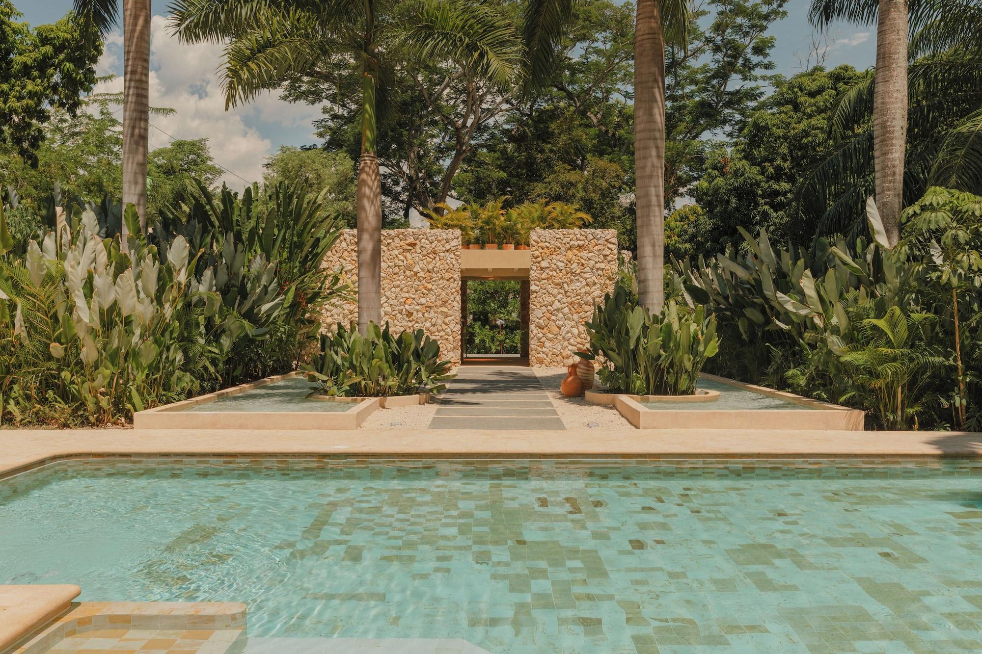 Vista Piscina Arde La Selva