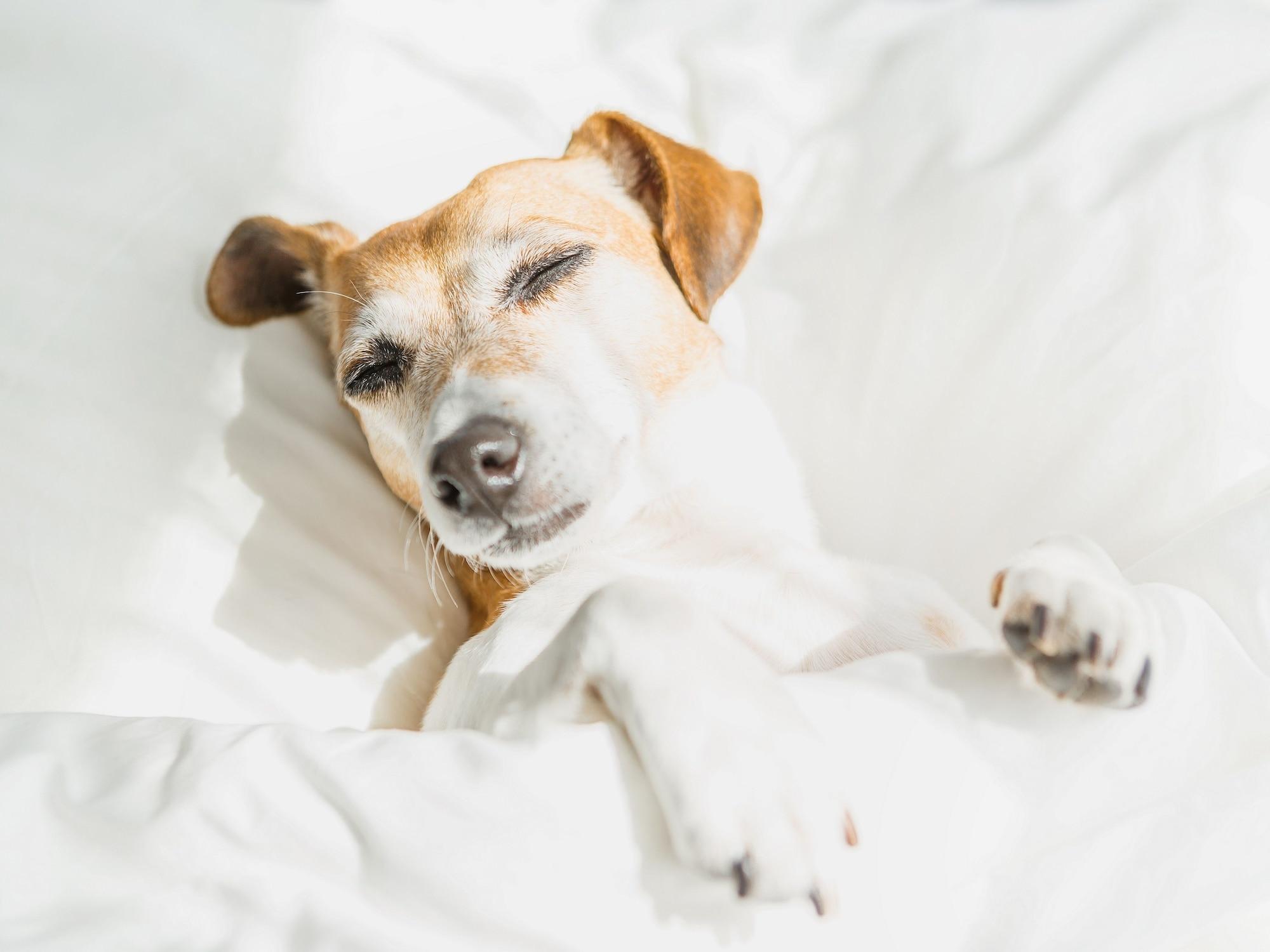 Comodidades del Alojamiento WoodSpring Suites Orlando West - Clermont