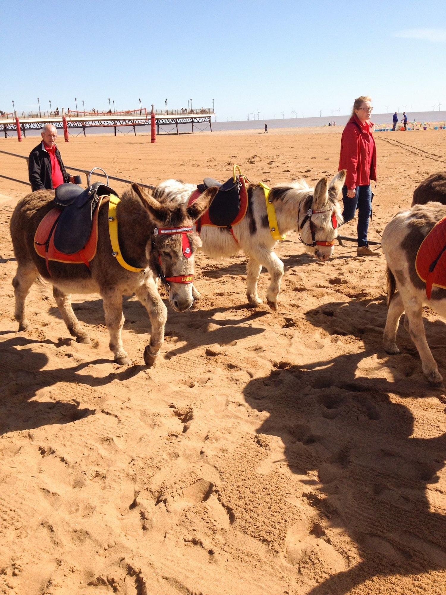 Vista Exterior The Monsell Hotel