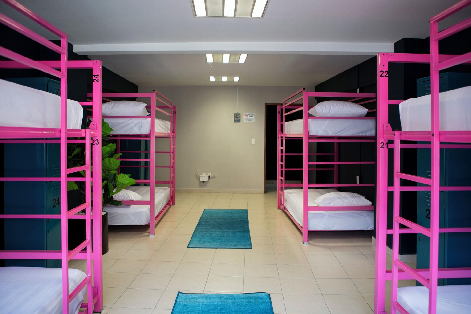 Habitación Casa Local Mestizo Hostal