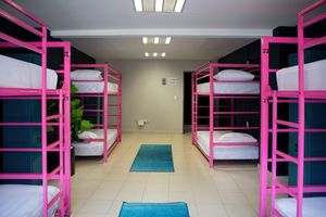 Alojamiento - Casa Local Mestizo Hostal