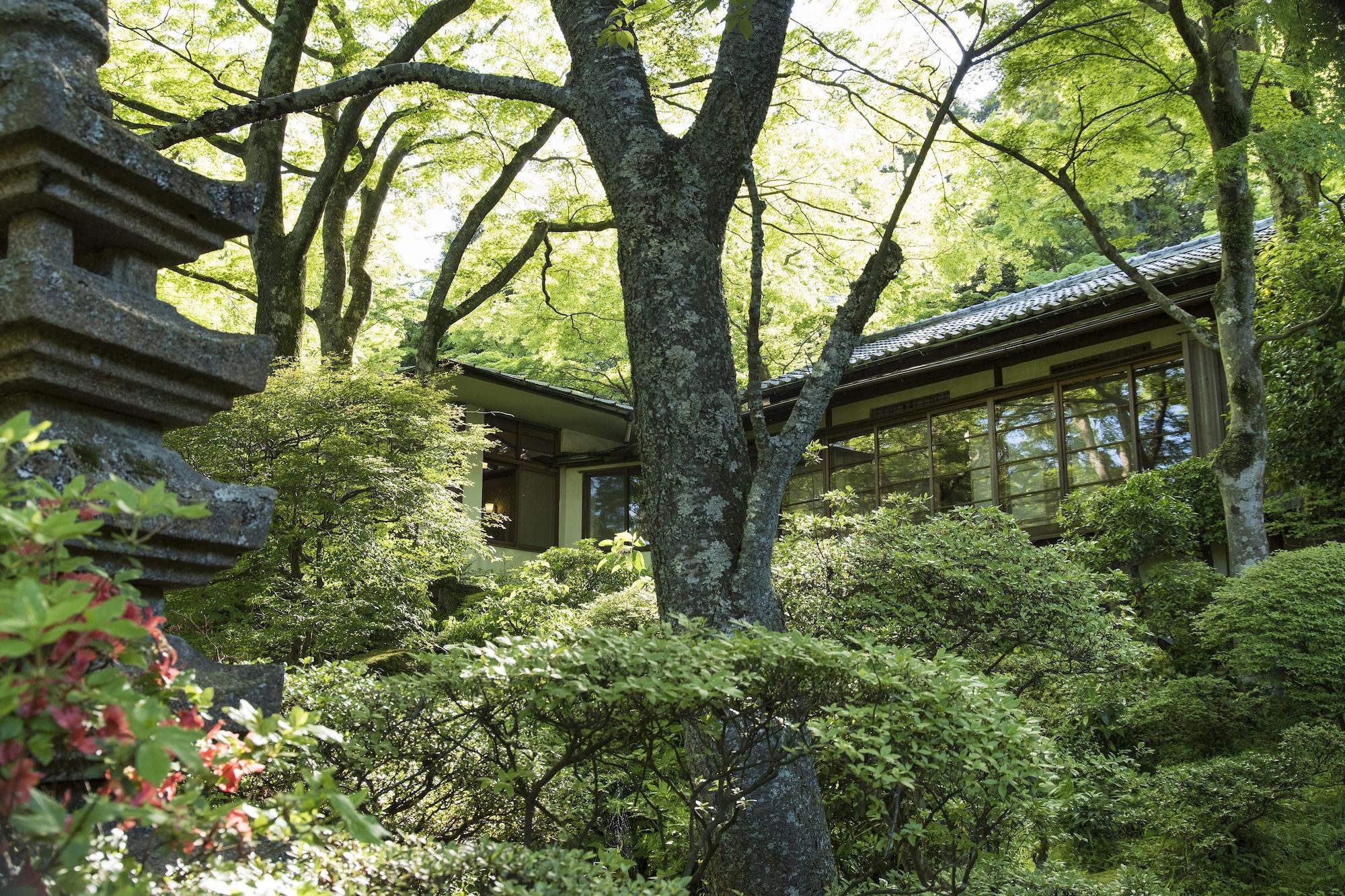 Comodidades del Alojamiento Gora Kansuiro