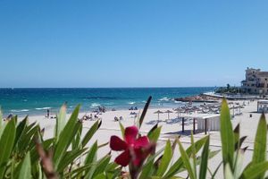 Alquiler Vacacional - Ruim Zuid Gelegen Luxe Appartment op de Begane Grond Nabij Alle Voorzieningen