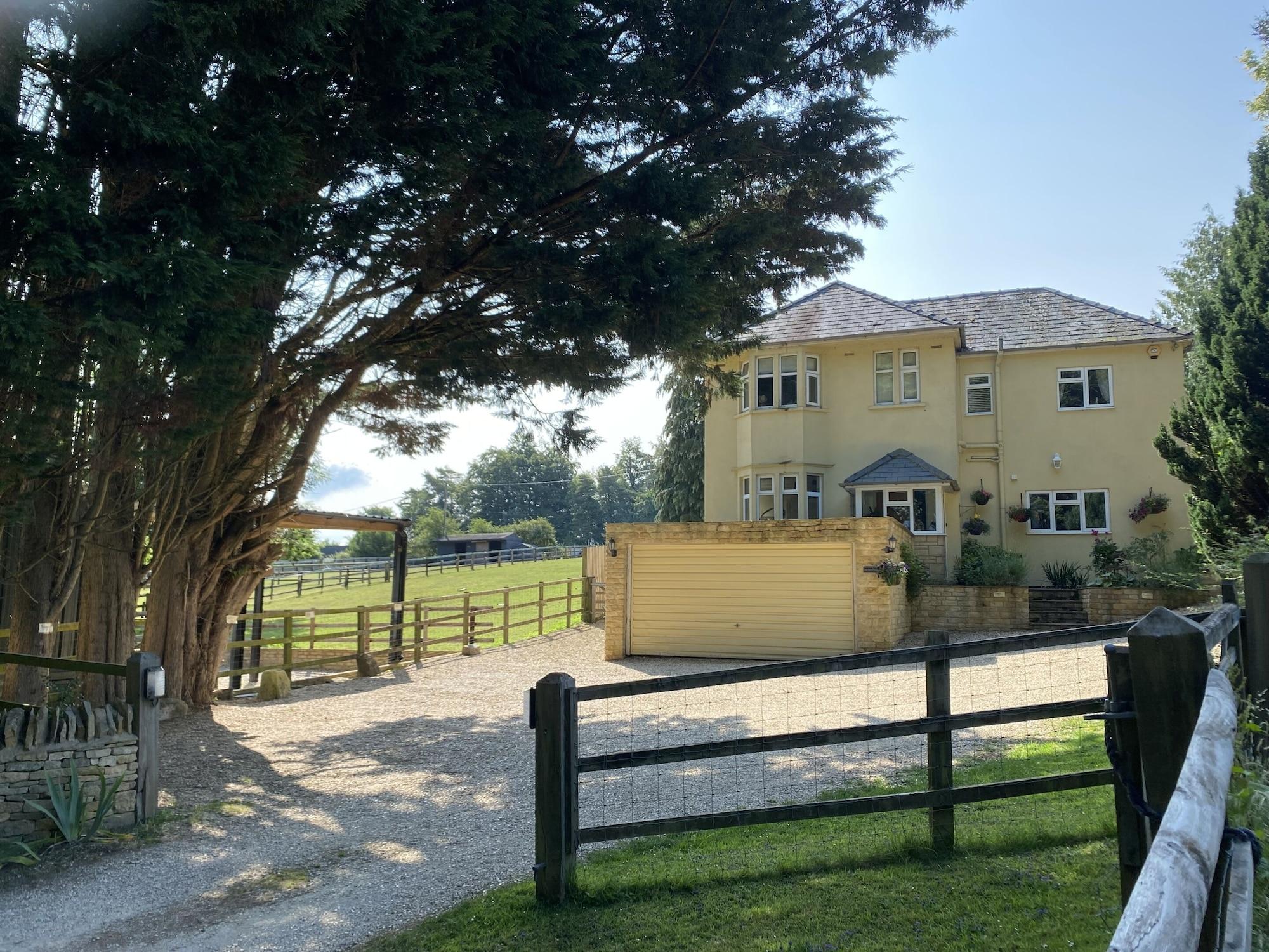 Vista Lobby Sunny Nest