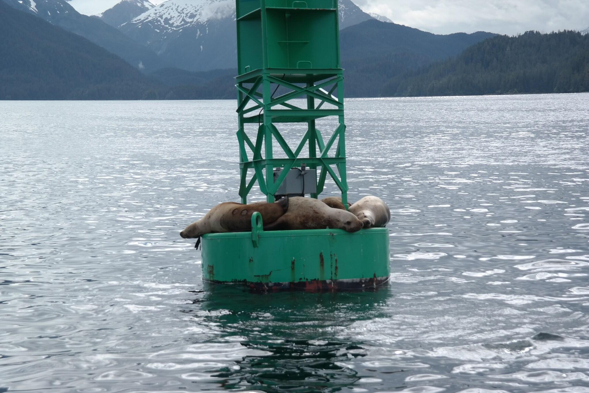 Vista Exterior Sitka Hotel