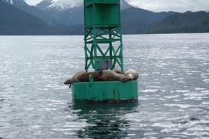 Alojamiento - Sitka Hotel