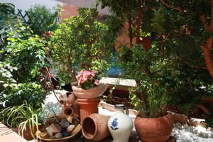 Alojamiento - B&B Domus Atilia