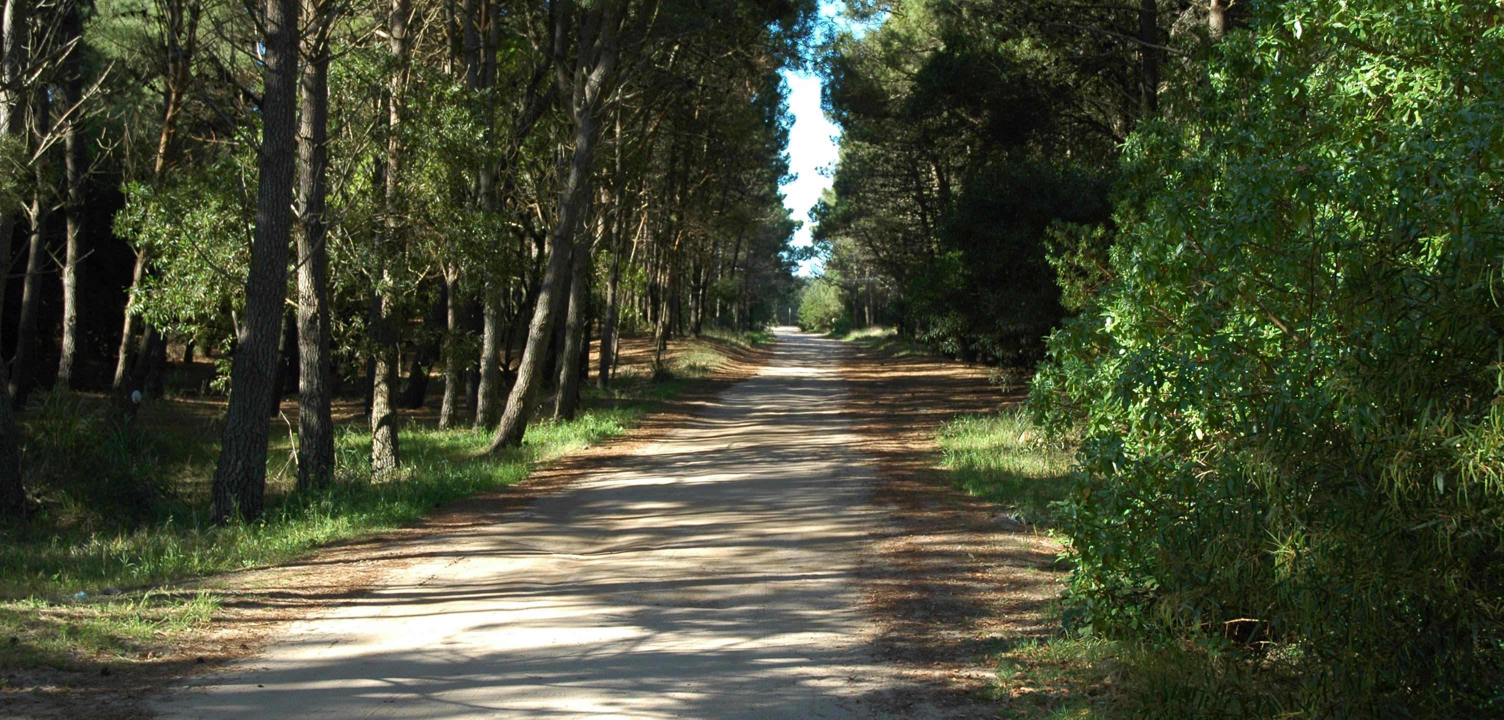 Playa Apart E Luru