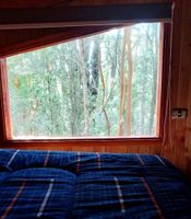 Alquiler Vacacional - Cabaña Arrayán