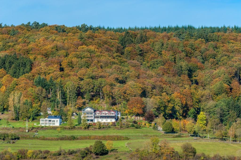 Vista Exterior Waldhotel Sonnenberg