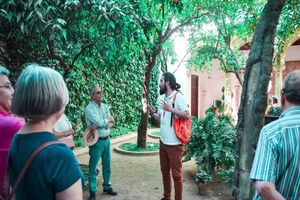 Actividad - Palacio de Viana y sus patios