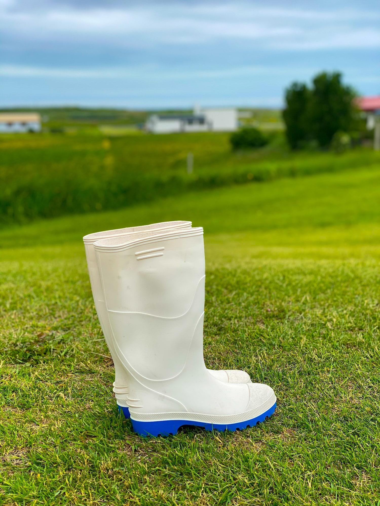 Campo de Golf Milk factory