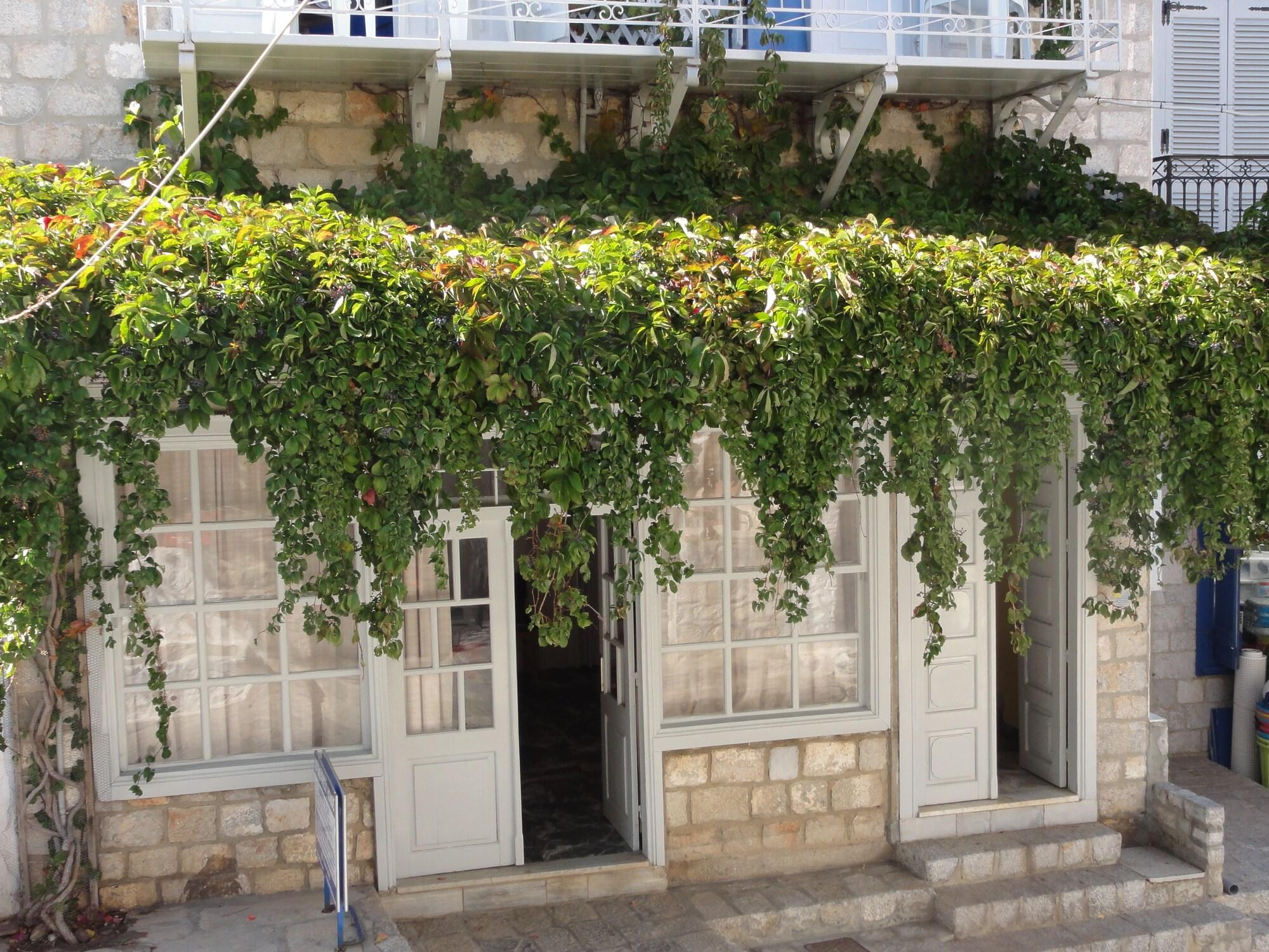 Vista Exterior Botsis Guest House